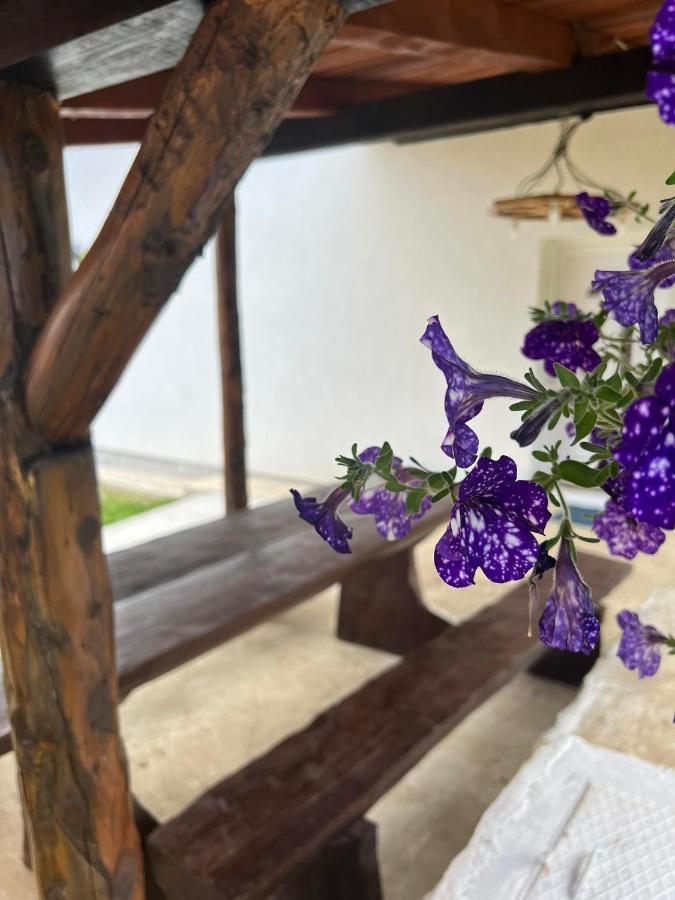 Apartman Djak Plitvicka Jezera Luaran gambar